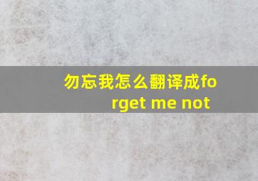 勿忘我怎么翻译成forget me not